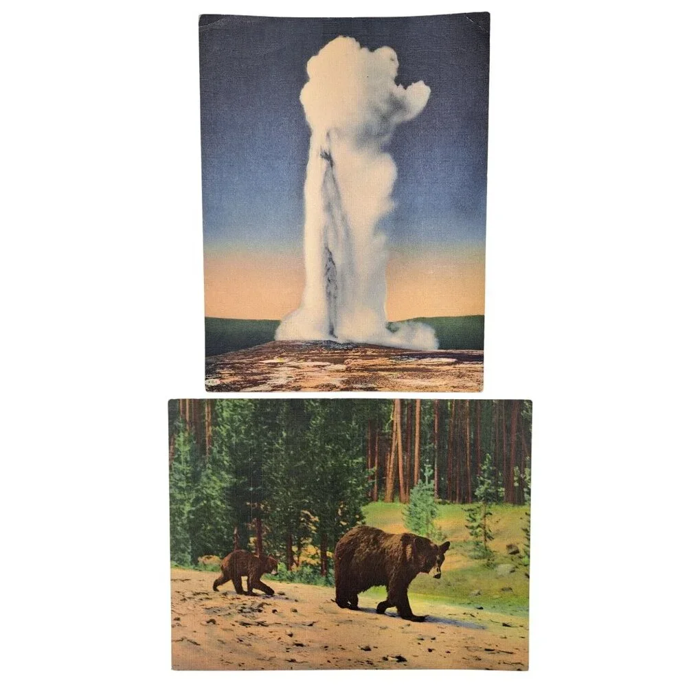 Vintage Yellowstone National Park Giant Postcards Bears Old Faithful Set Of 2